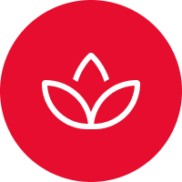 icon wellness