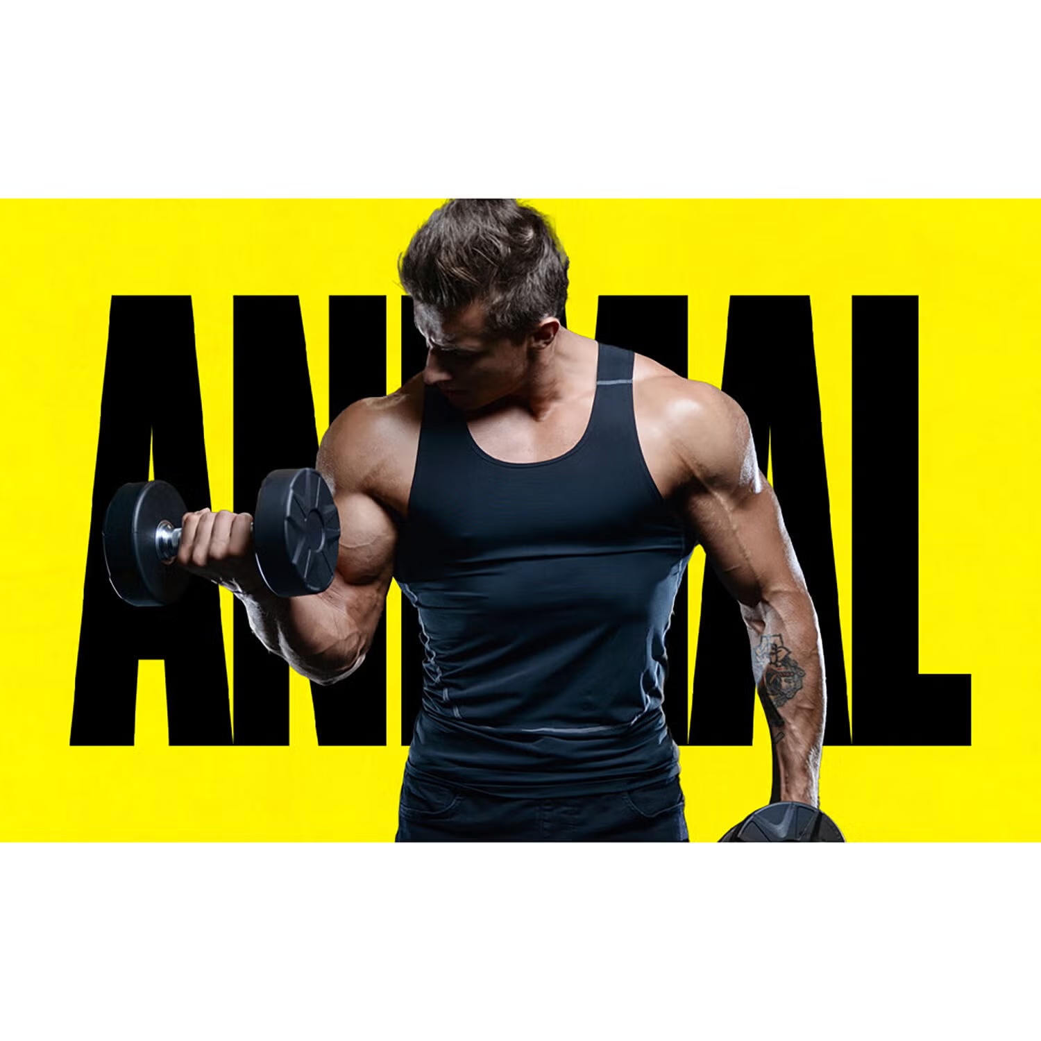 Animal Pak Ultimate Foundation Pill Packs - 44 Packs (22 Servings) 10 Animal Pak Ultimate Foundation Pill Packs - 44 Packs (22 Servings)