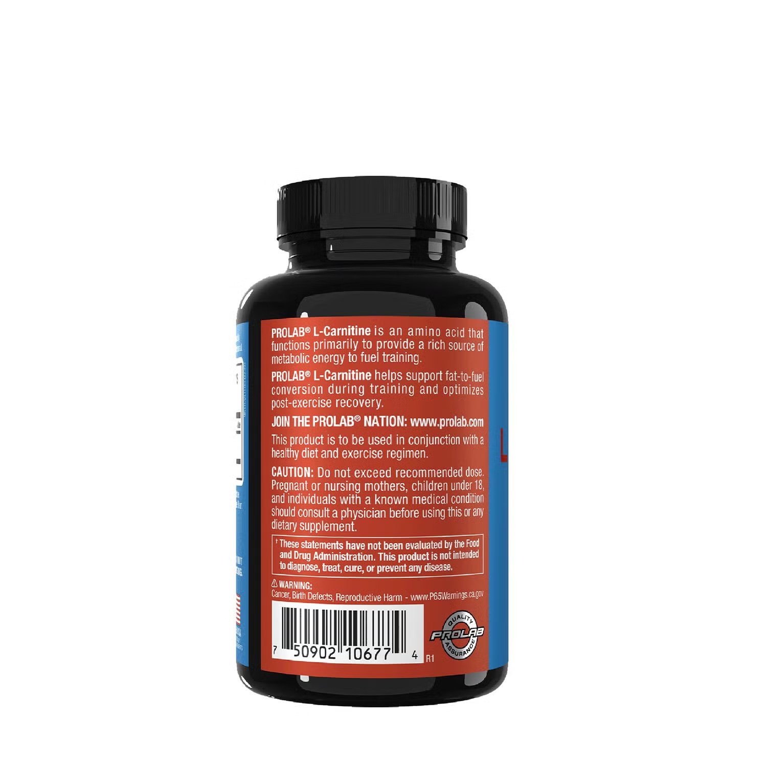 L-Carnitine - 60 Capsules (60 Servings) 3 L-Carnitine - 60 Capsules (60 Servings)