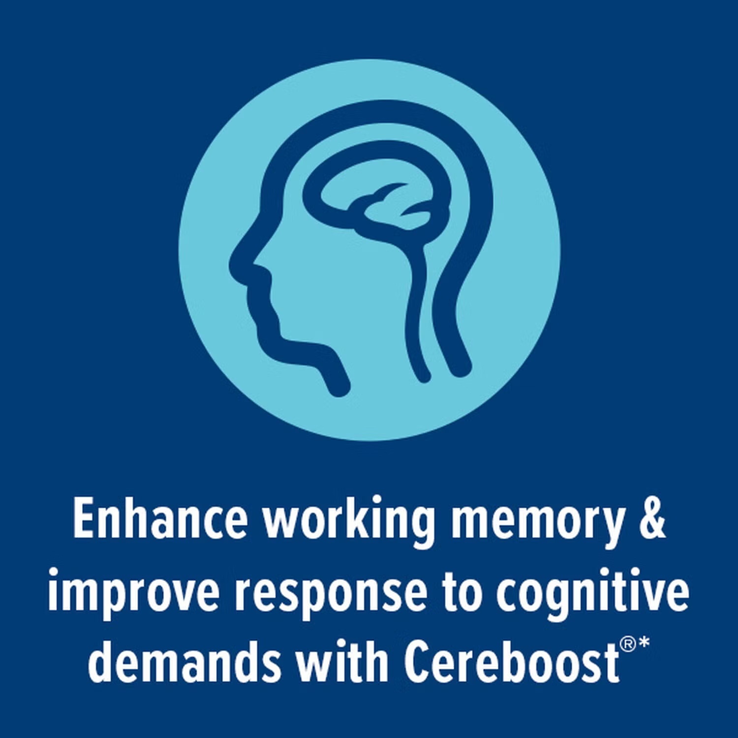 Focus and Memory - 60 Capsules (30 Servings) 4 Focus and Memory - 60 Capsules (30 Servings)